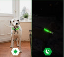 Glødende hundesele