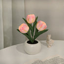 Grillig Tulipanglød