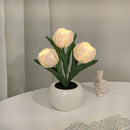 Grillig Tulipanglød