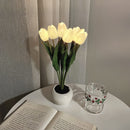 Grillig Tulipanglød