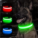 Glødende hundesele