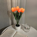 Grillig Tulipanglød