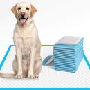 Hundeunderlag