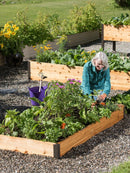 Løsning til plantenæringsstoffer