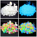 Glow in the Dark Havesten