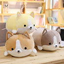 Shiba Inu tegneseriepude