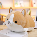 Shiba Inu tegneseriepude