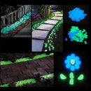 Glow in the Dark Havesten