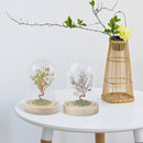 Feng Shui Krystaltræ