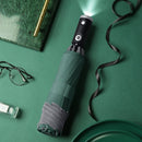 LED Lysparaply