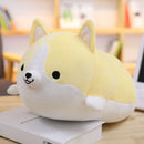 Shiba Inu tegneseriepude