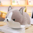 Shiba Inu tegneseriepude