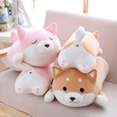 Shiba Inu tegneseriepude