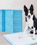 MagicPeePads – Det ultimative redskab til renlighedstræning for både ejer og hund!