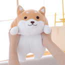 Shiba Inu tegneseriepude