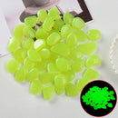 Glow in the Dark Havesten