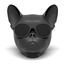 Fransk Bulldog-højttaler