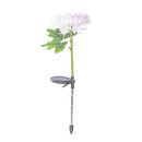 Krysantemum LED Solcellelampe
