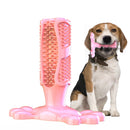 Toycare - Hundetandbørste