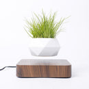 Svævende Bonsai Potte