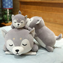 Shiba Inu tegneseriepude