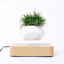 Svævende Bonsai Potte