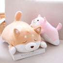 Shiba Inu tegneseriepude