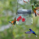 Kolibri-foderkrukke med portblomst
