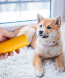 Anti-gøende Hundetræner
