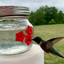 Kolibri-foderkrukke med portblomst