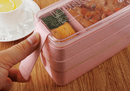 3-lags Bento Box
