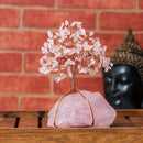 Feng Shui Bonsai ornamenter