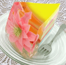3D Gelatine Kunst Startsæt