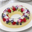 3D Gelatine Kunst Startsæt
