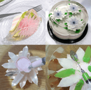 3D Gelatine Kunst Startsæt