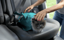 Comfy Cat Rejsetaske