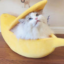 Sjov banan-katteseng