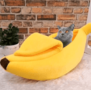 Sjov banan-katteseng