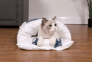Kattesovepose