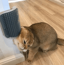 Kattenhoek Groomer