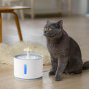 Hydrering Katte Vandfontæne