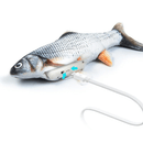 Dansende fisk | Selvmotiverende kattelegetøj