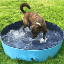 Transportabelt hundebassin
