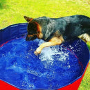 Transportabelt hundebassin