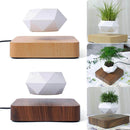 Svævende Bonsai Potte