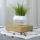 Svævende Bonsai Potte