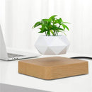 Svævende Bonsai Potte