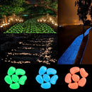 Glow in the Dark Havesten
