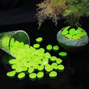 Glow in the Dark Havesten