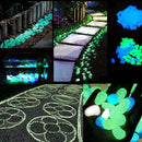 Glow in the Dark Havesten